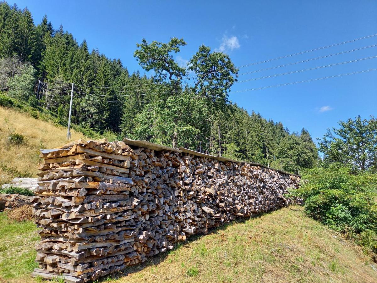Landhaus Gruenjuwel Himmelberg Esterno foto